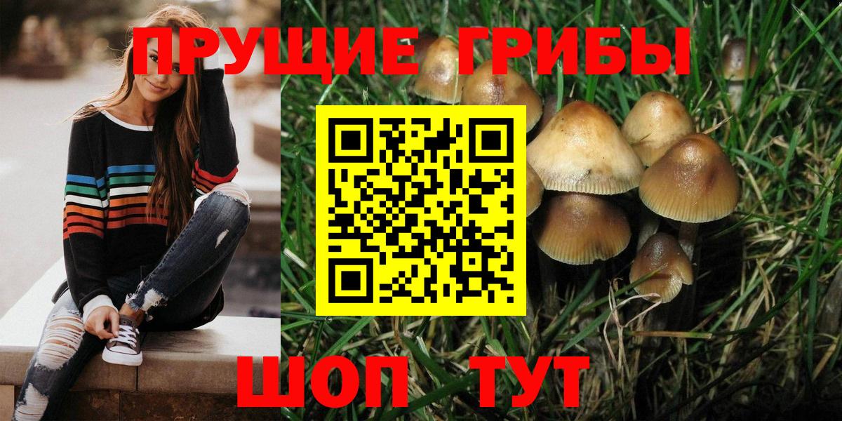 Галлюциногенные грибы прущие грибы  Вход с VPN  купить закладку  Галлюциногенные грибы мухоморы  Дедовск 
